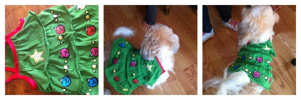 christmas dog clothes from Petsmart- Martha Stewart