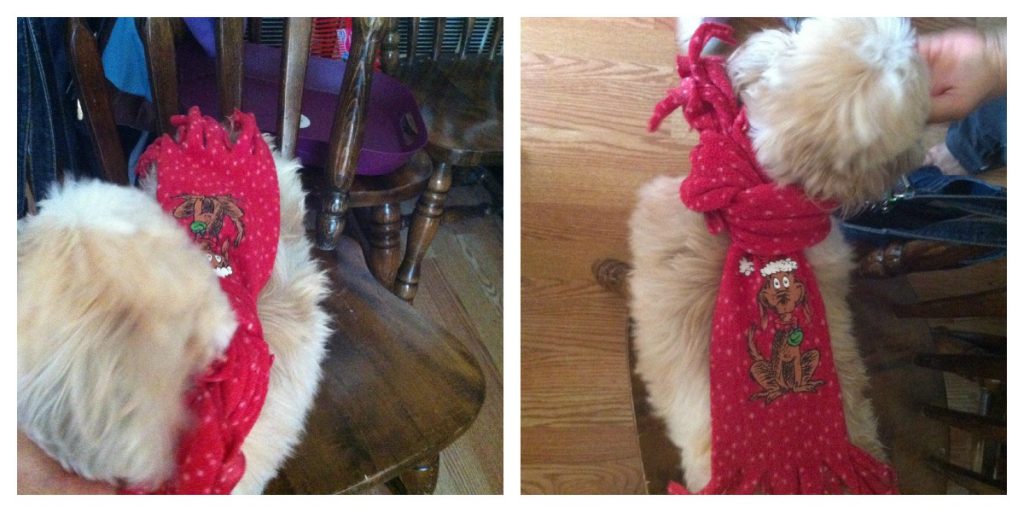 christmas dog clothes from Petsmart-Disney, Martha Stewart and Bret Michaels