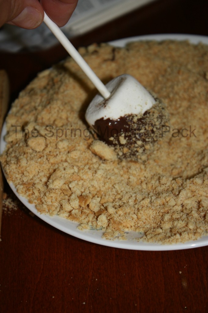 S'mores Lollipops- Easy Quick S'mores Recipe- The Spring Mount 6 Pack (4)