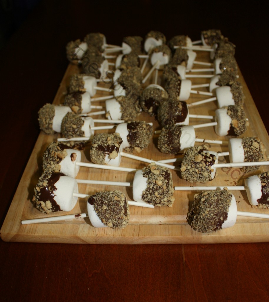 S'mores Lollipops- Easy Quick S'mores Recipe- The Spring Mount 6 Pack (5)