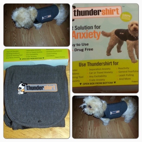 Thundershirt- A Natural Solution for Your Dog's Anxiety