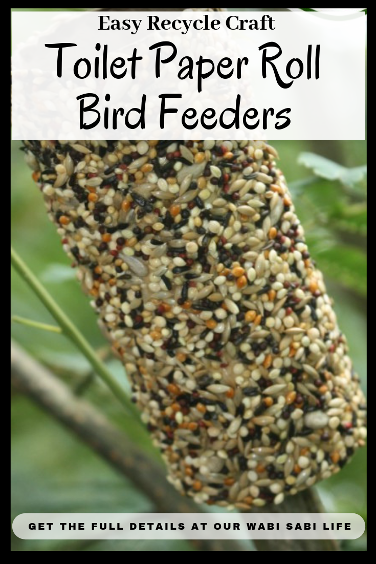 The Best Recycled Bird Feeders using Toilet Paper Rolls