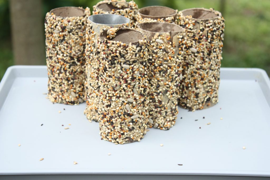 The Best Recycled Bird Feeders using Toilet Paper Rolls