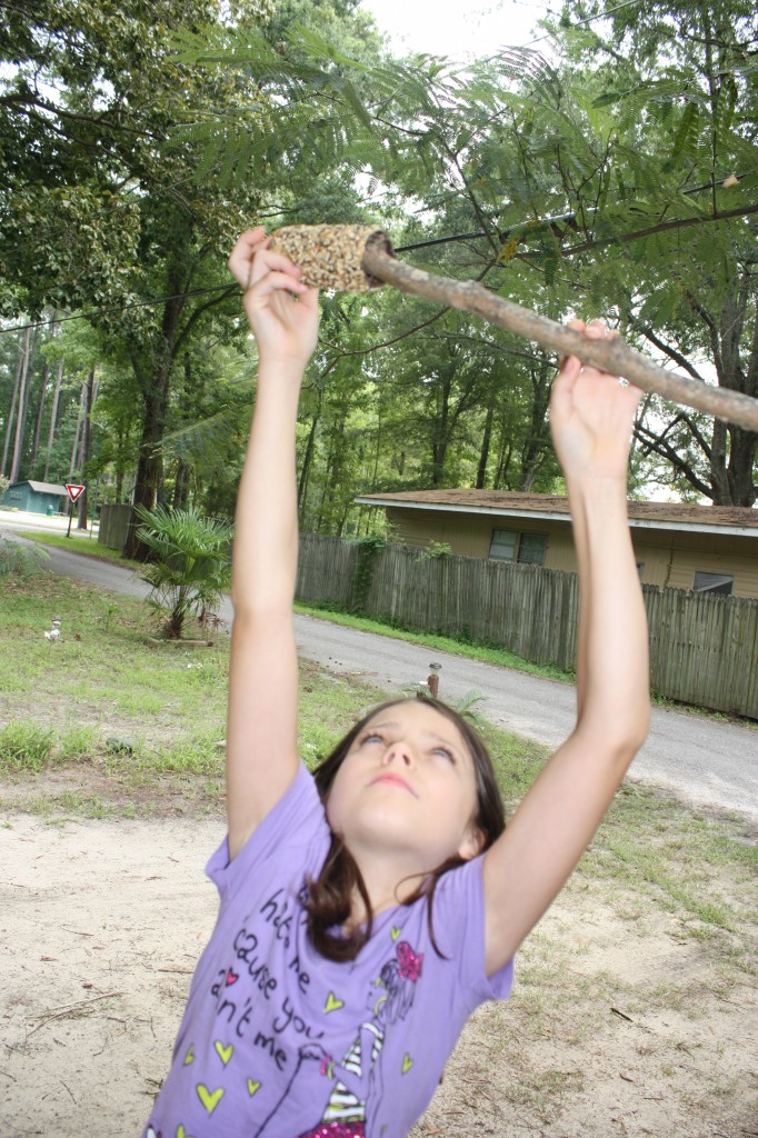 little girl placing bird feeder