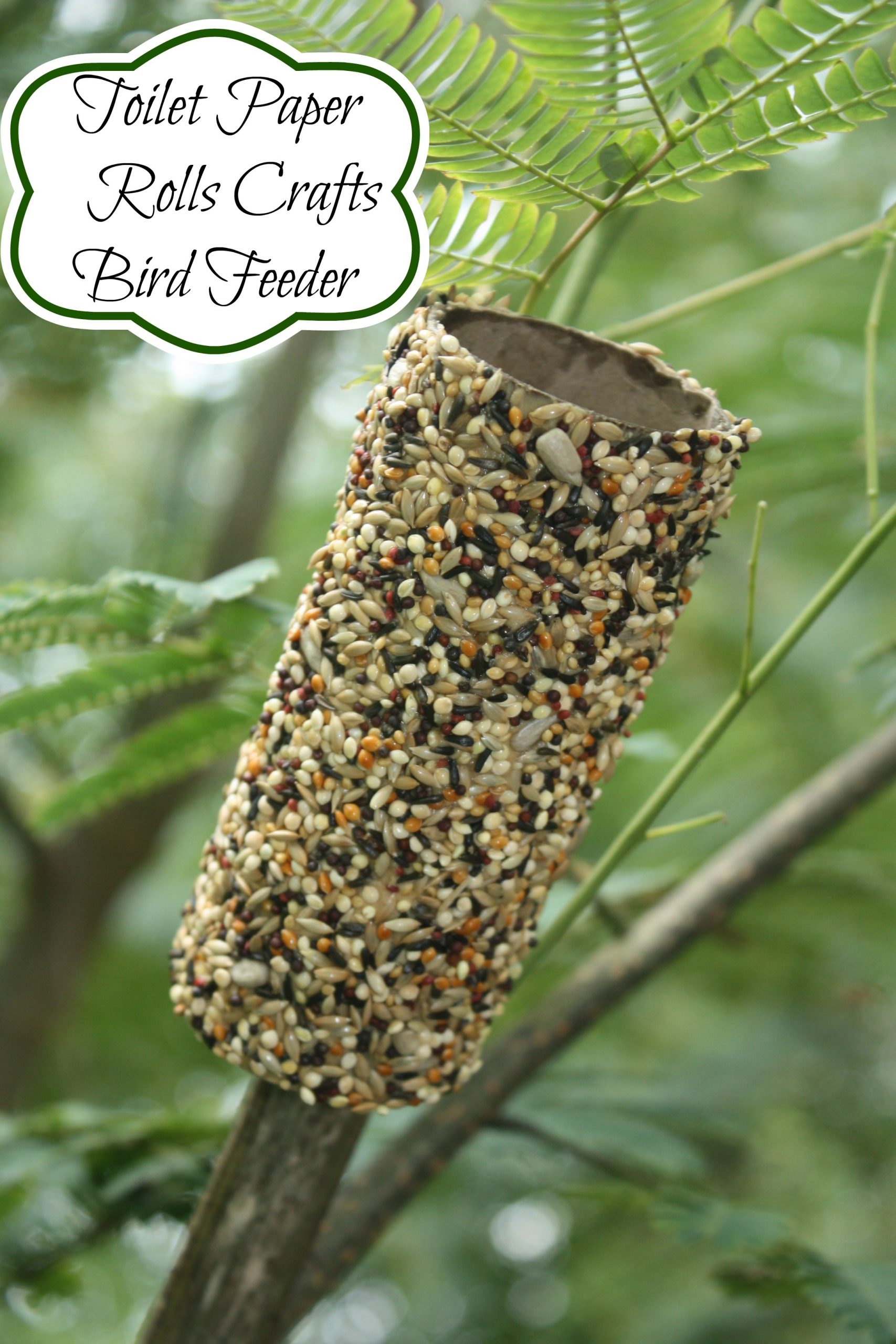 The Best Recycled Bird Feeders using Toilet Paper Rolls