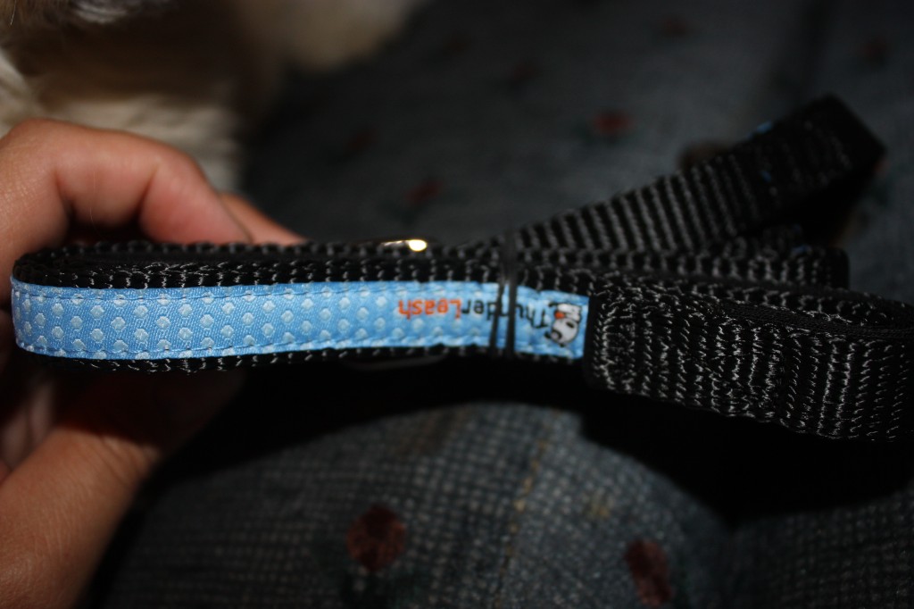 Thundershirt Leash for Dogs. How to teach a dog to not pull on leash