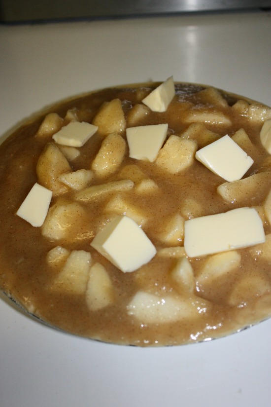 Crunch Top Apple Pie Recipe 4