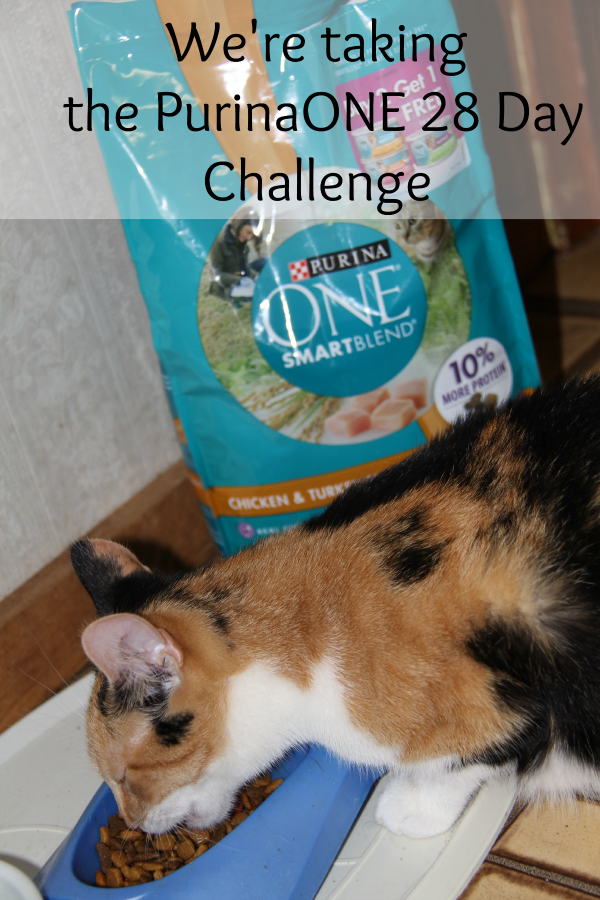 We are taking the PurinaONE challenge for a healthier pet. Great Nutrition You Can See