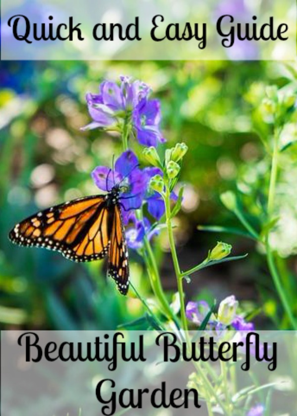 Beautiful Butterfly Garden