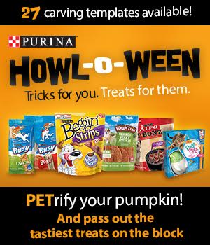 PETrify Your Pumpkin for Halloween