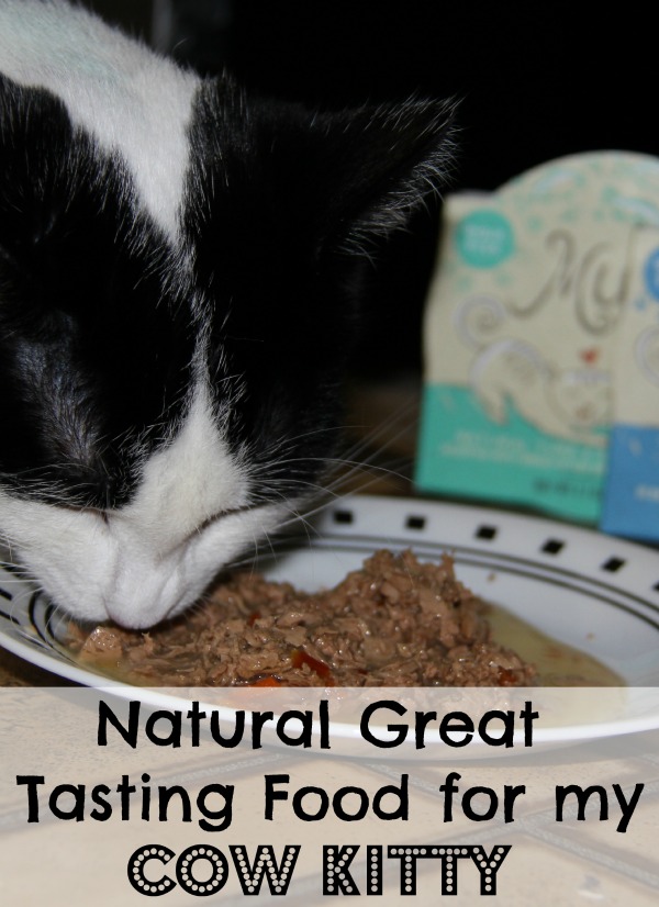 muse natural cat food