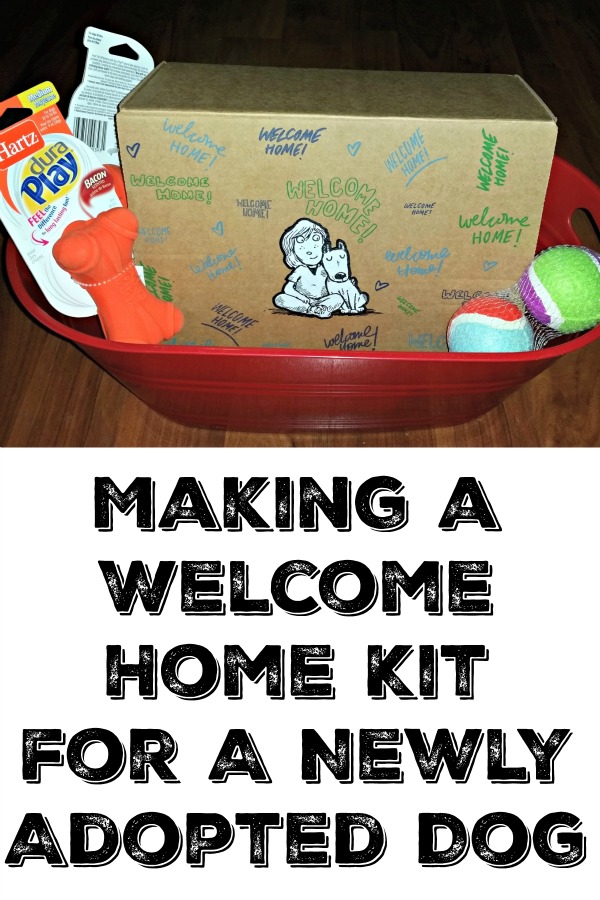 Making a Welcome Home Kit  for A Newly Adopted Dog