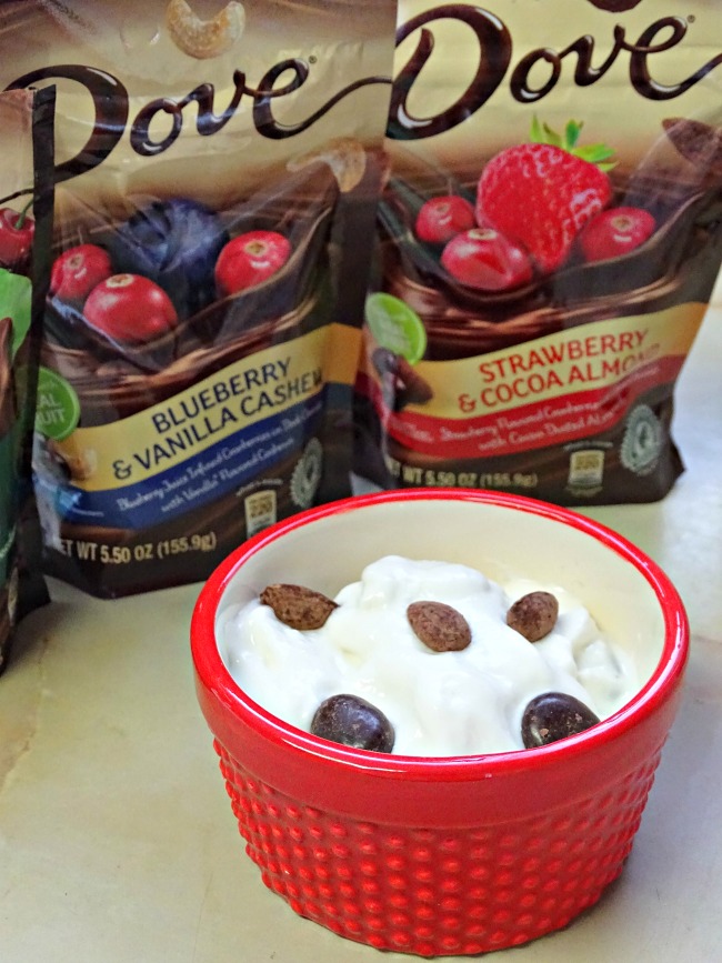 Frozen yogurt with Dove Fruit and Nut