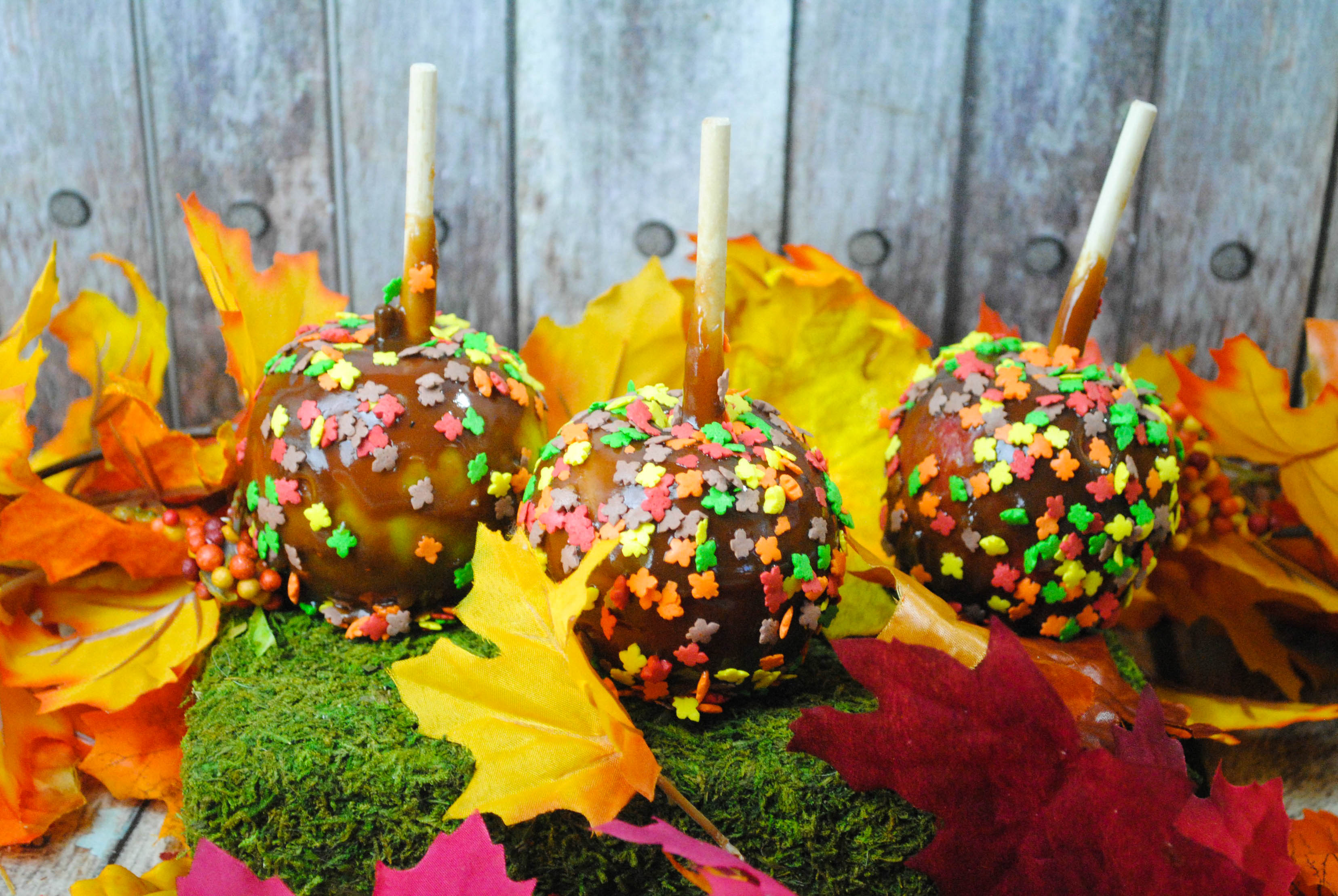 Love caramel apples This pumpkin spice caramel apple will be an amazing treat for anyone this fall. 