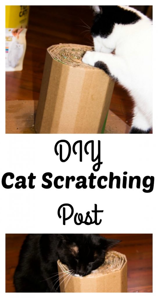 make your own cat scratching post