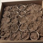 Don't spend money on those expensive seed starters. Try this simple way to start seeds to save money. Start a garden on a budget.