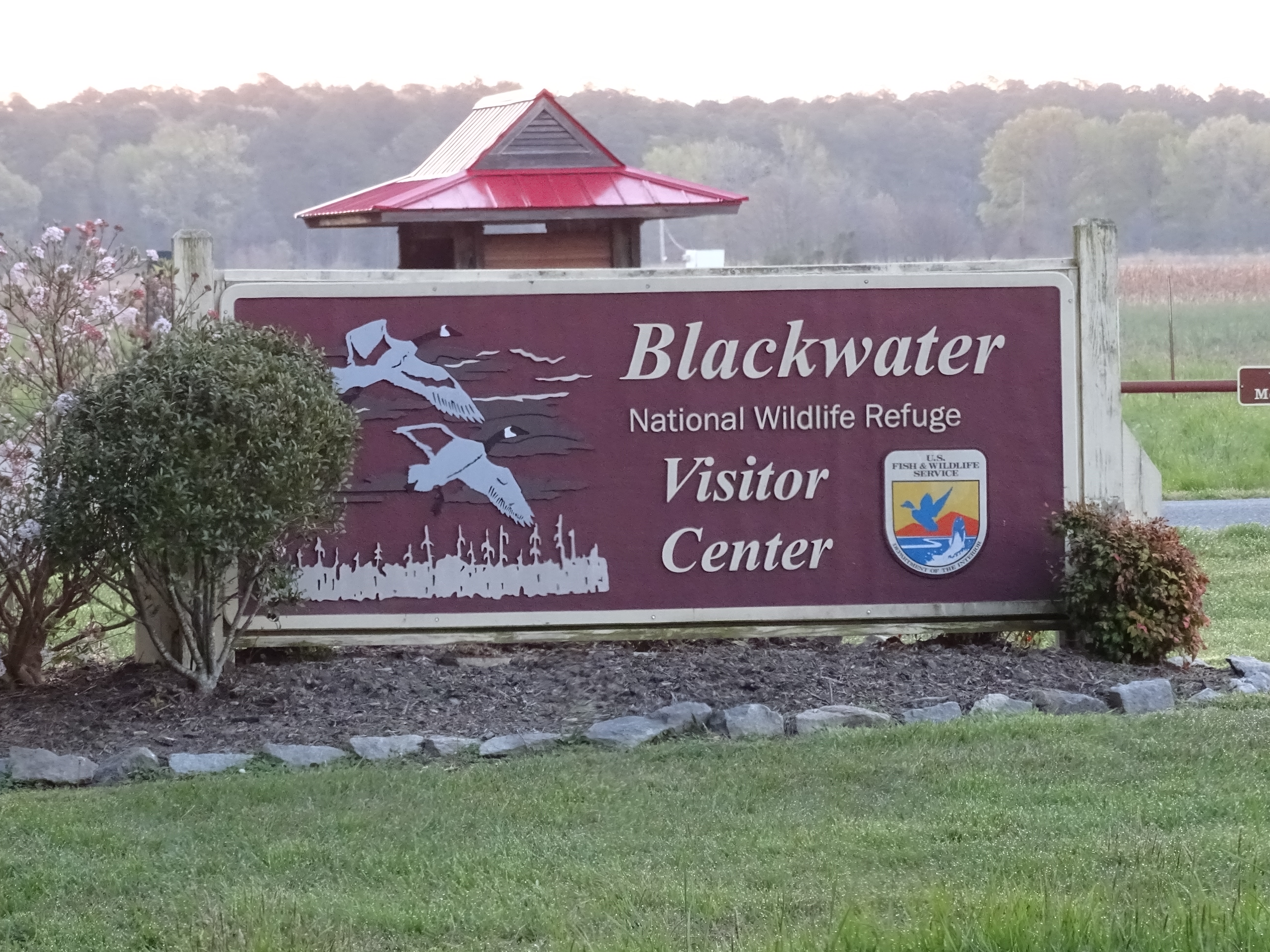 Blackwater national wildlife refuge visitor center park sign