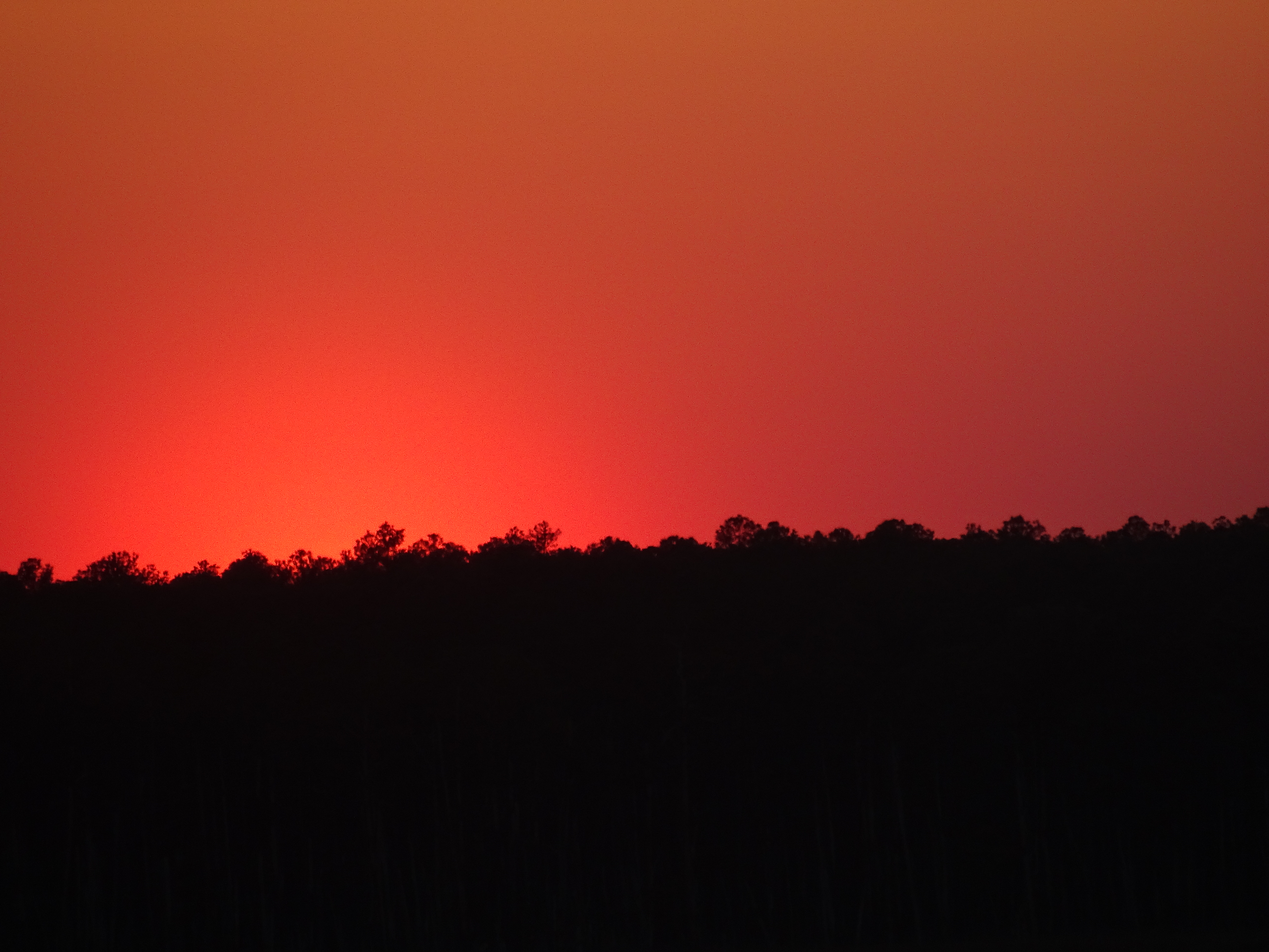 Sunset over the Blackwater Wildlife refuge