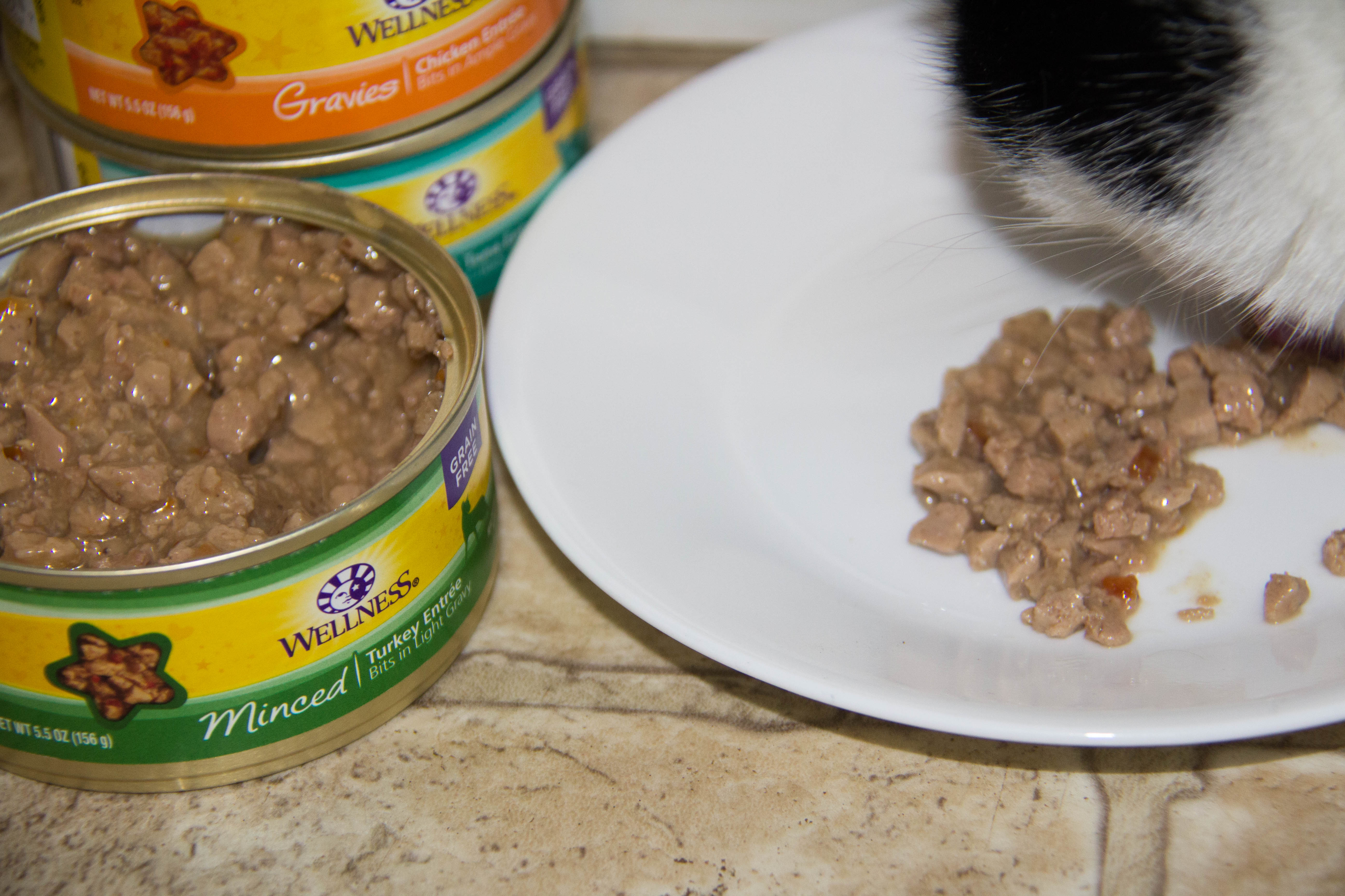 wellness minced cat food