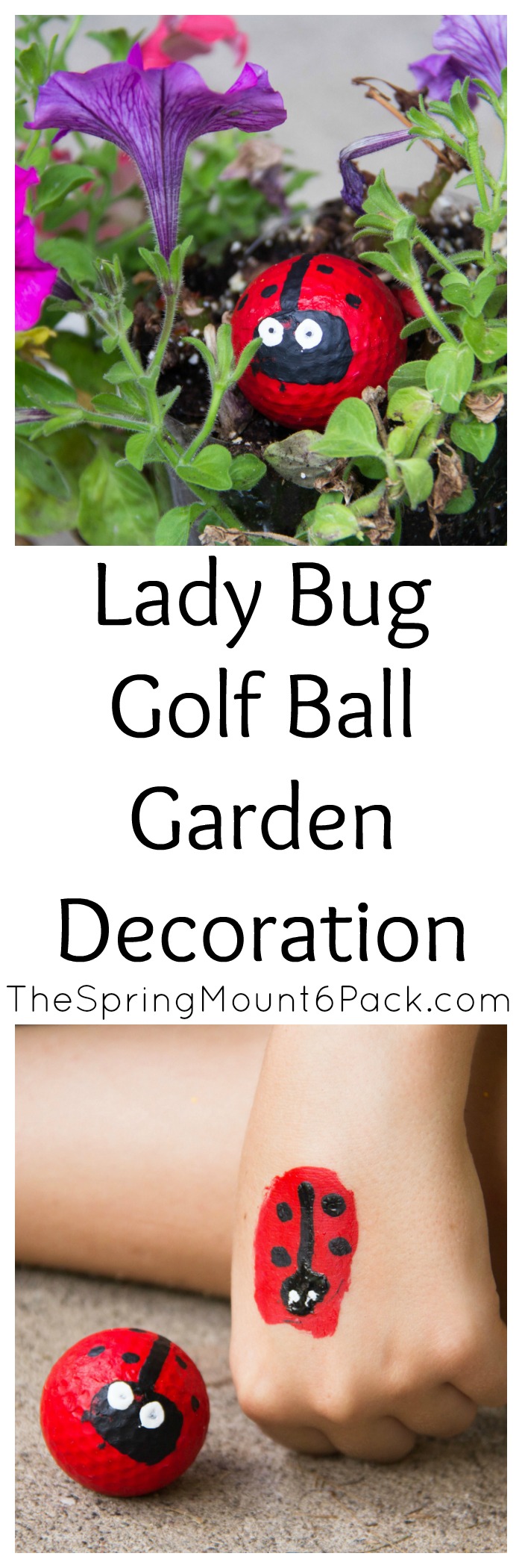 Looking for a fun garden decoration that you can make with the kids? These lady bug golf balls are easy to make and so cute.