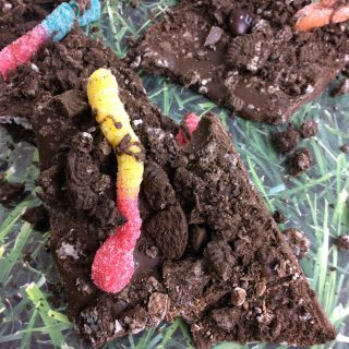 What kid doesn't love worms in dirt? Well, now they are even better with this recipe for worms in dirt bark. Surprisingly easy and so good.
