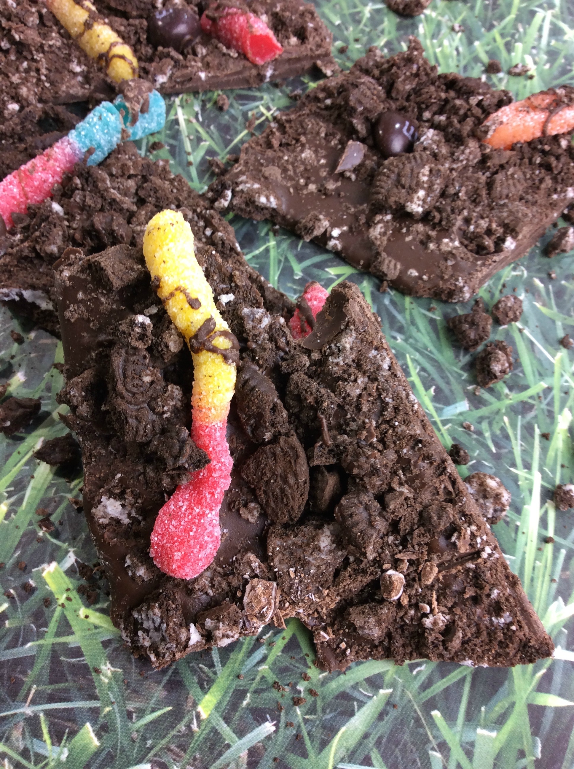 What kid doesn't love worms in dirt? Well, now they are even better with this recipe for worms in dirt bark. Surprisingly easy and so good. It takes all the fun and flavors of dirt pudding and recreates it into something even better. 