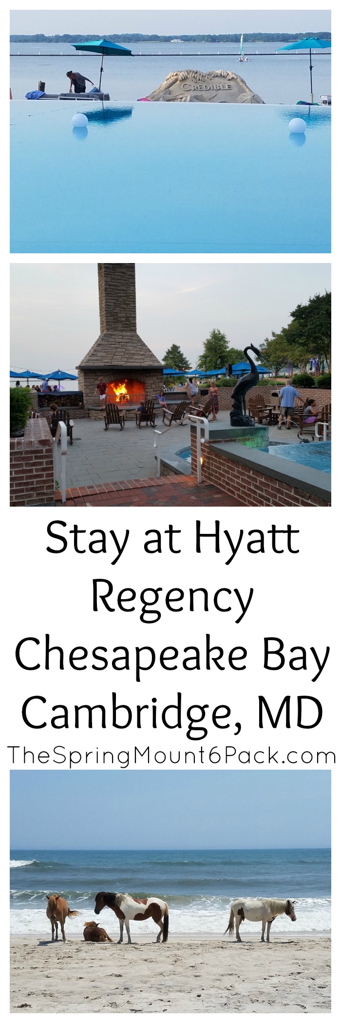 Looking for a beautiful hotel to stay at while visiting Maryland's Eastern Shores? Hyatt Regency Chesapeake Bay has plenty to offer.