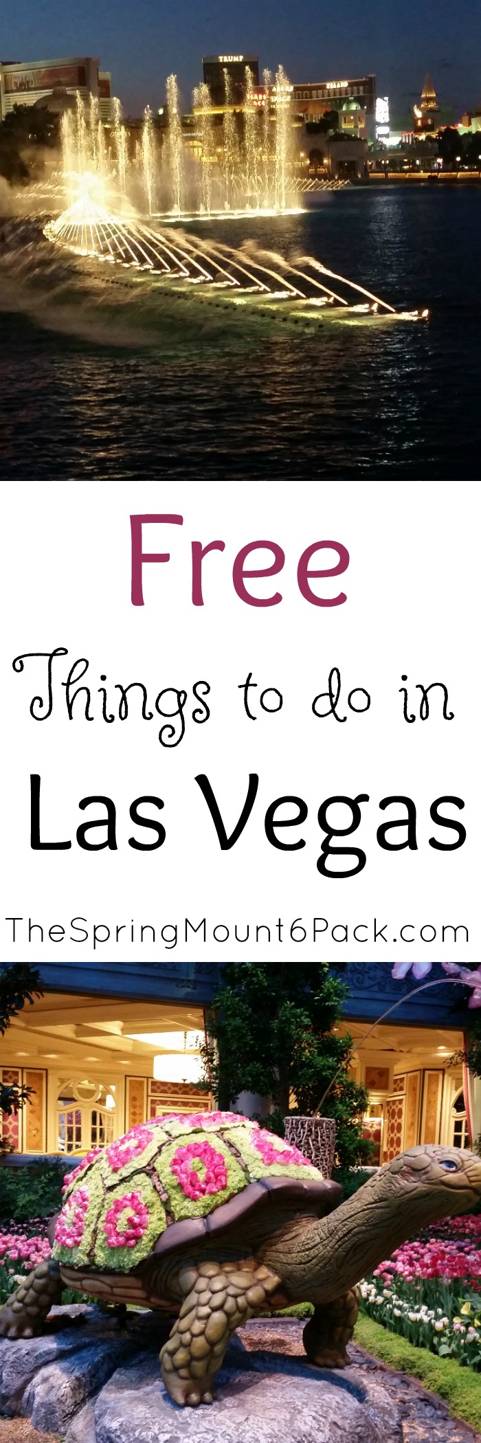 Heading to Las Vegas? Wondering what else there is to do besides gamble? Here are some free things to do in Las Vegas that you will love. 