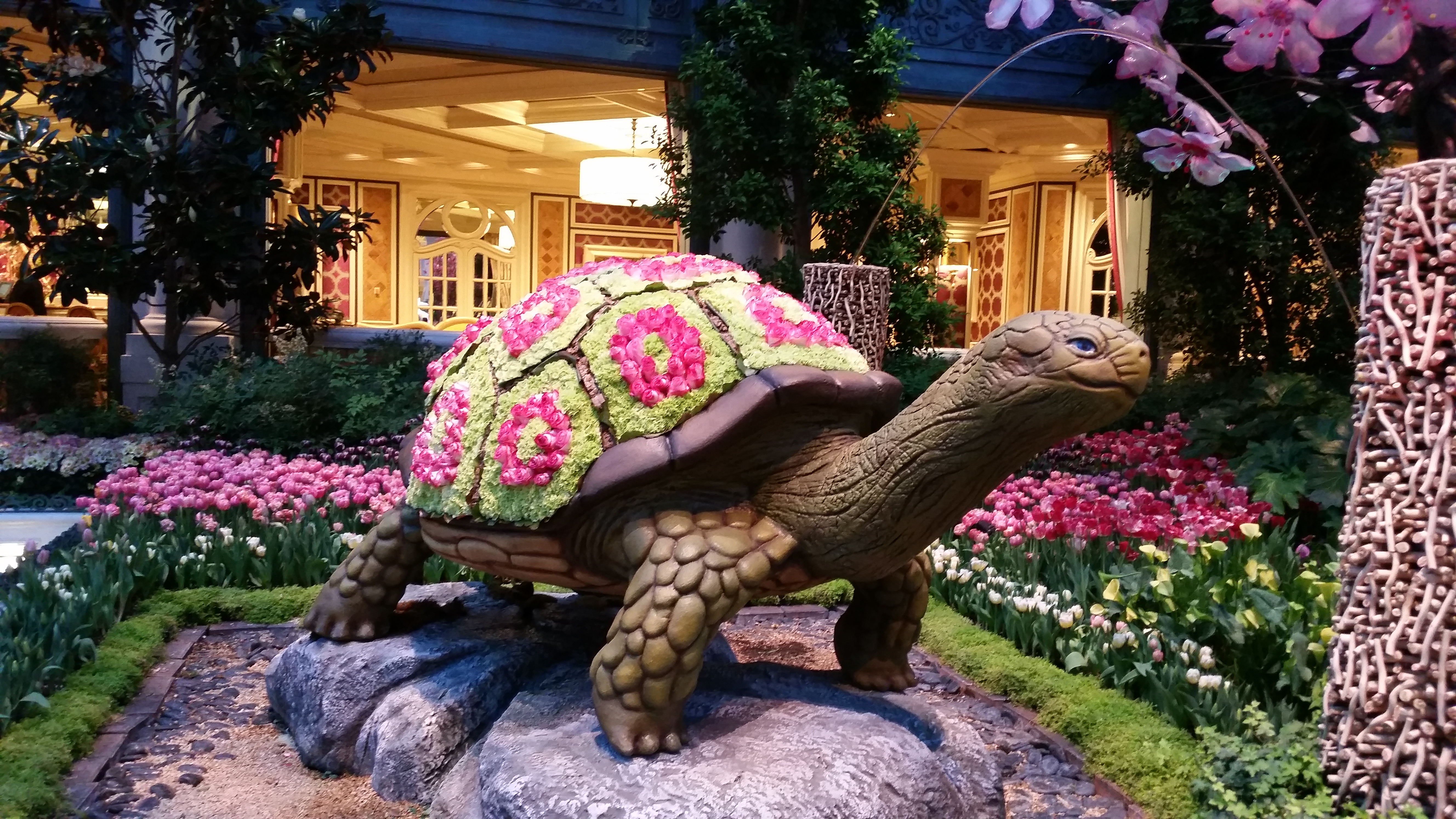 Looking for free things to do in Las Vegas. Be sure to visit the conservatory at the Bellagio Casino.