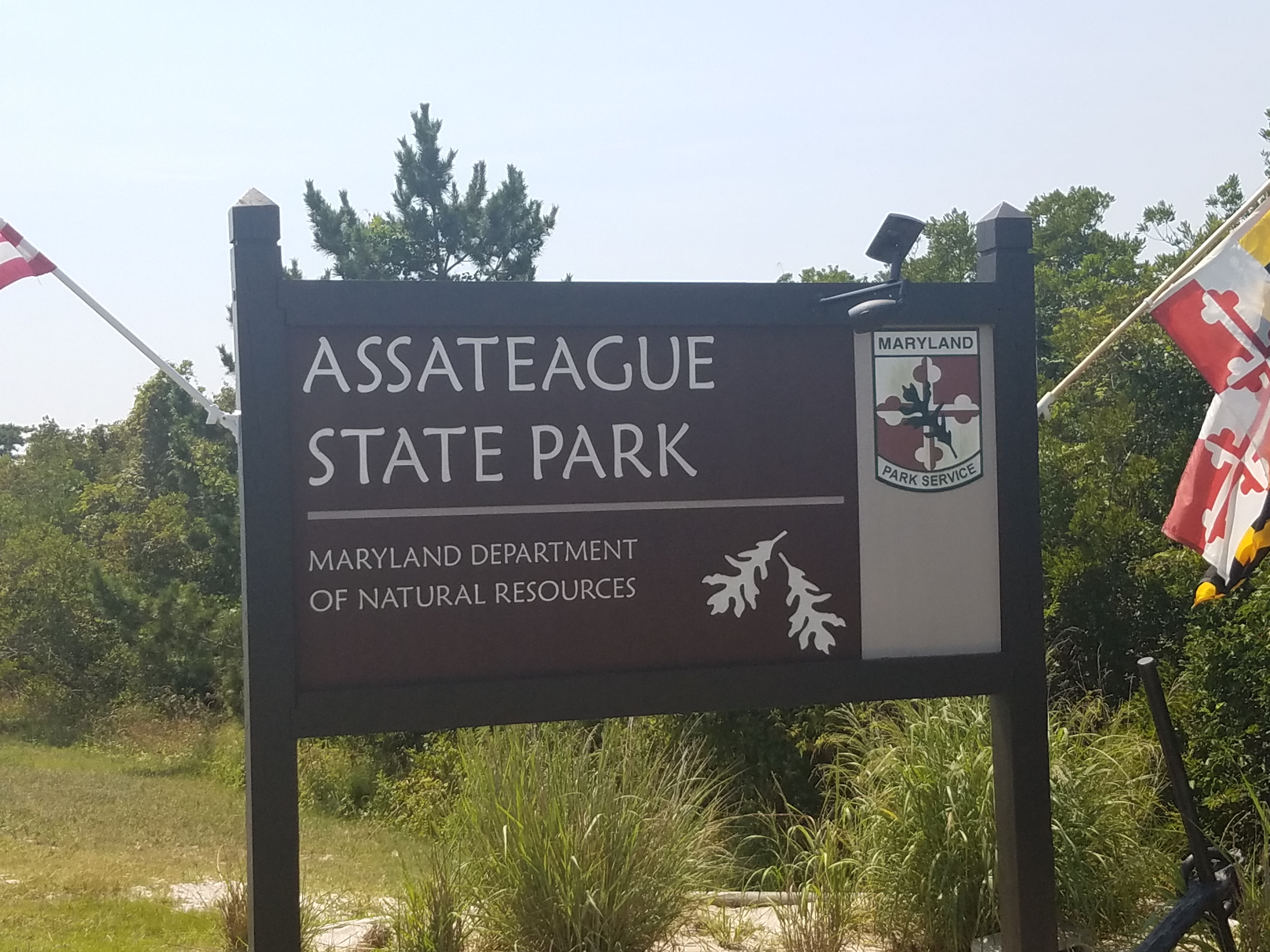 Assateague Island is known for the wild horses that roam the island. There is also enjoy swimming, camping, kayaking, paddle board, or wind surfing and more