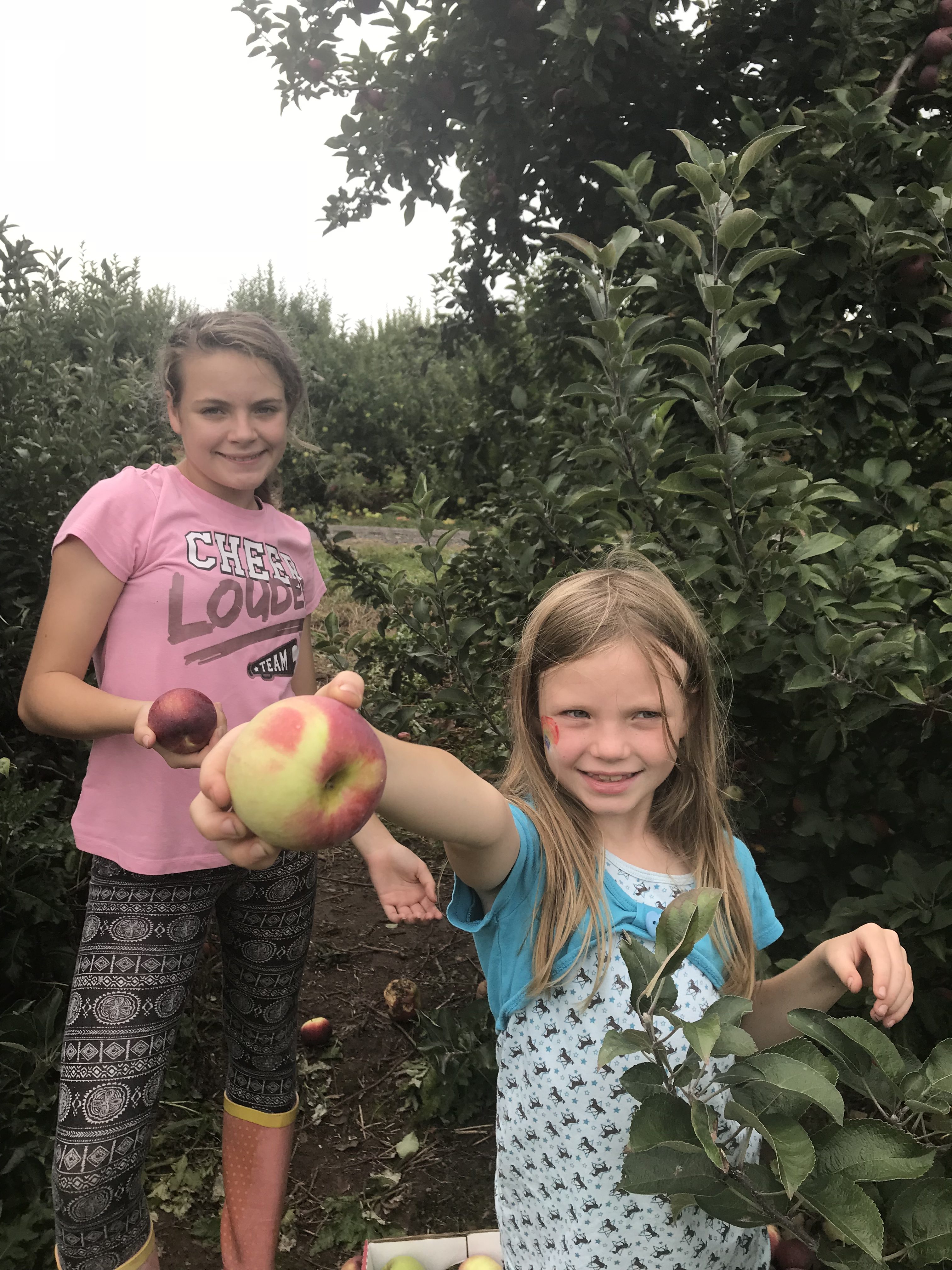 Fall is a great time to go apple picking and make some delicious apple recipes. Get the kids involved in making these apple recipes.
