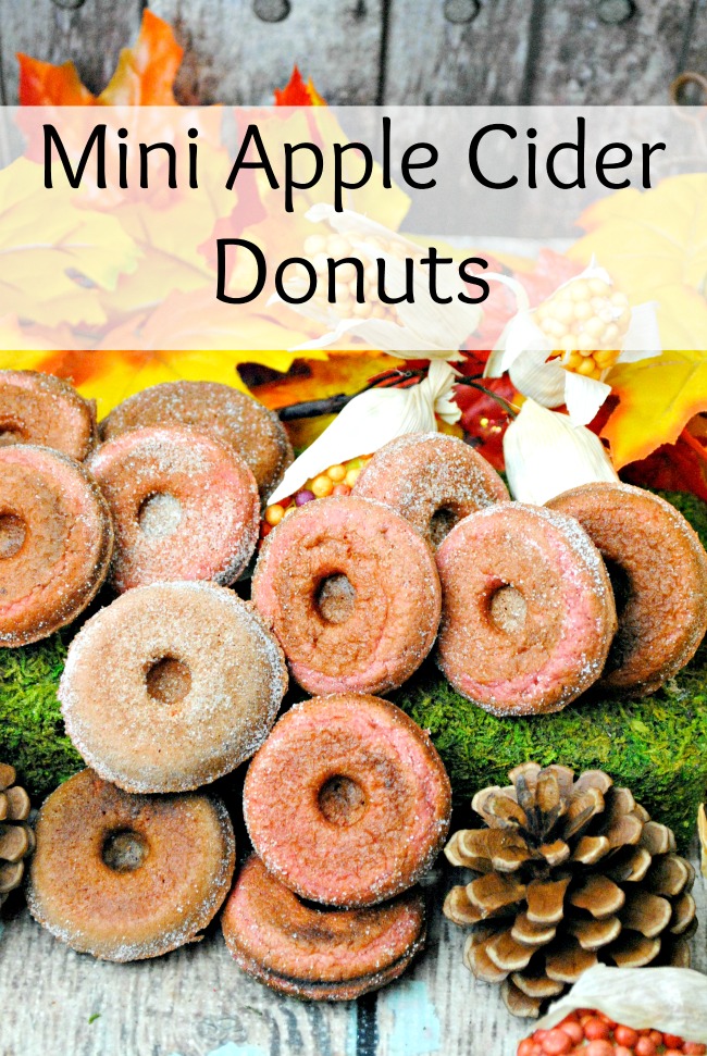 These donuts are a delicious twist on an apple recipe. Using Apple Cider, the taste of these Apple Cider donuts is amazing.