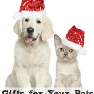 Gifts for Your Pets Holiday Gift Guide