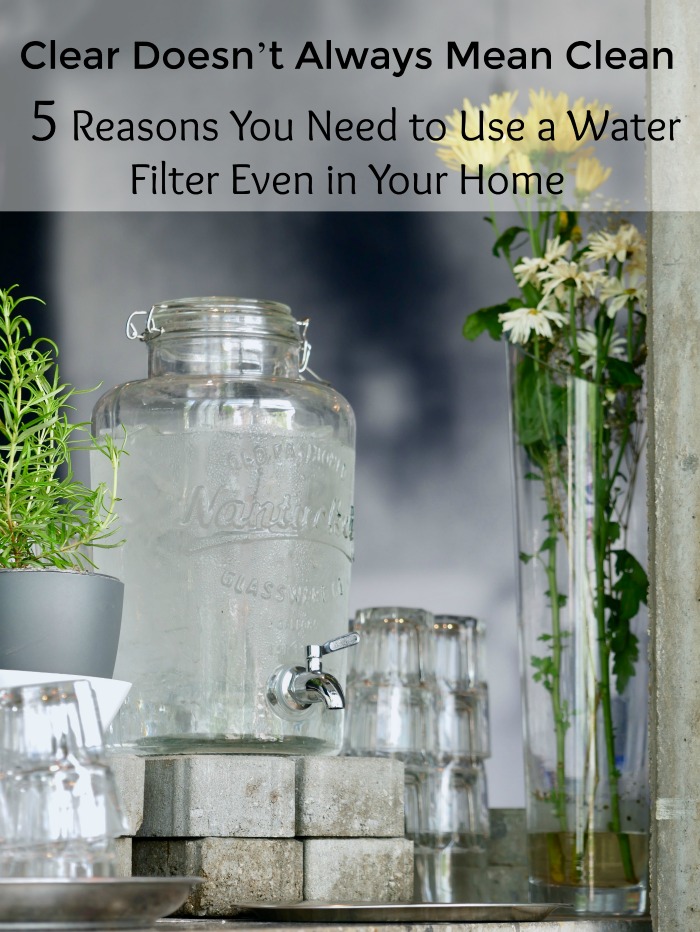 Clear Doesn’t Always Mean Clean: 5 Reasons You Need to Use a Water Filter Even in Your Home