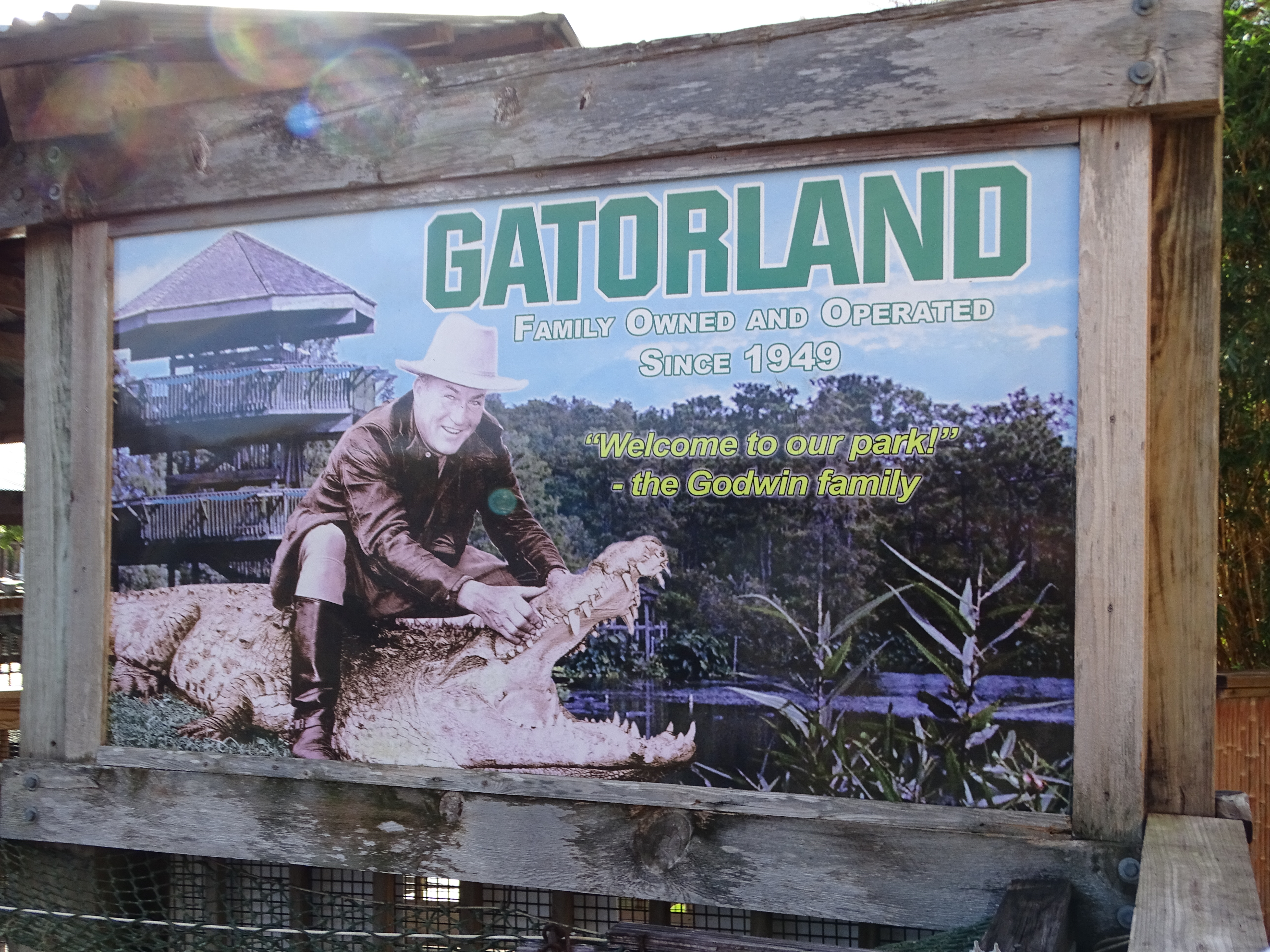 Visiting Orlando Florida and want something to do besides Disney? Gatorland is an alligator paradise. With 110 acres, this animal refuge is a fun packed day.