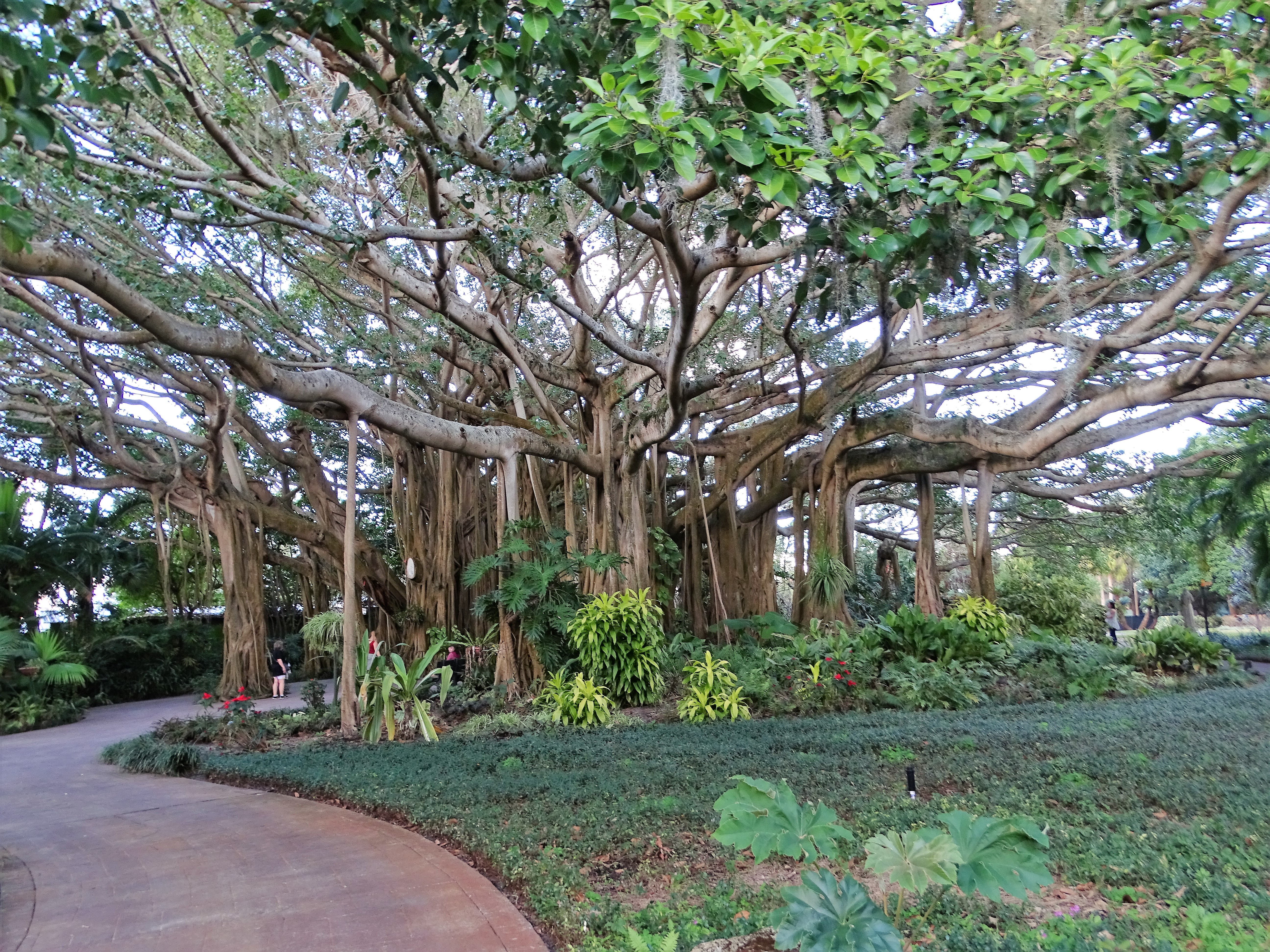 Tree of Life in Cypress Gardens at Legoland Florida