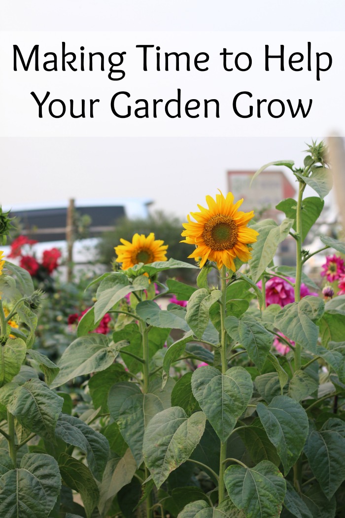 Making Time to Help Your Garden Grow