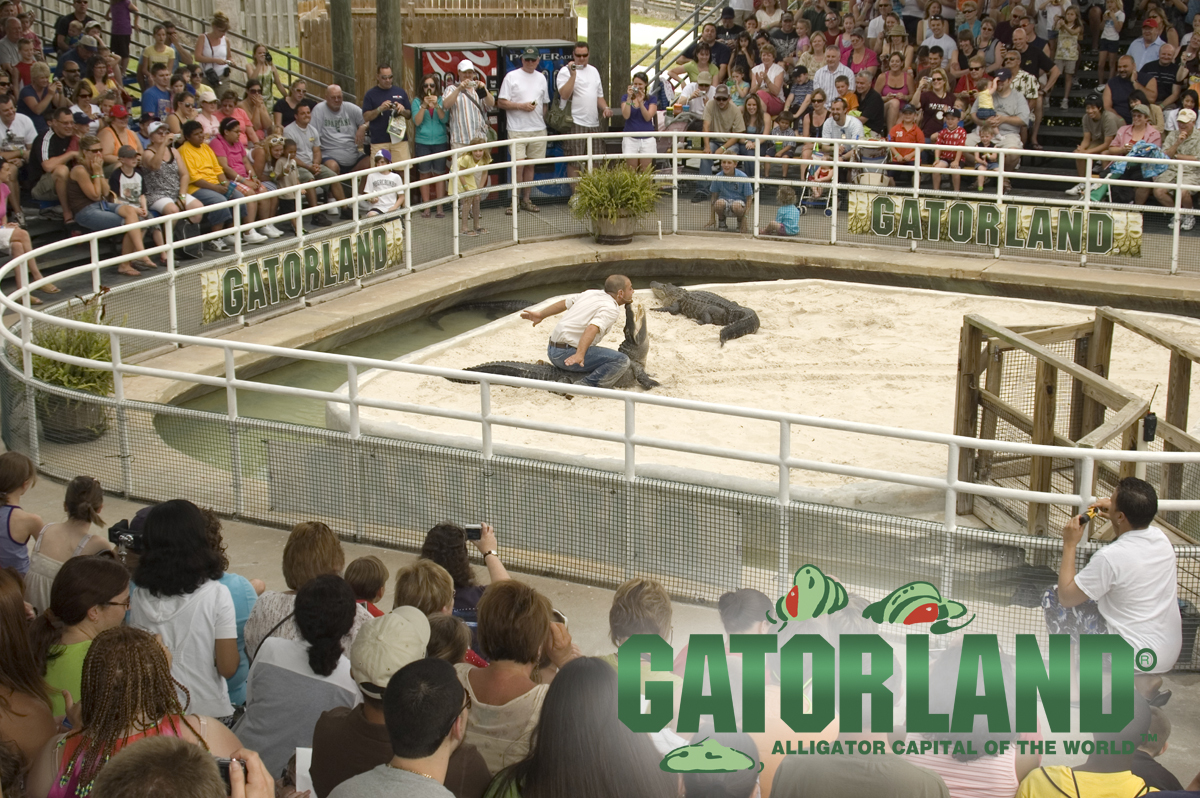 Gator wresting at Gatorland