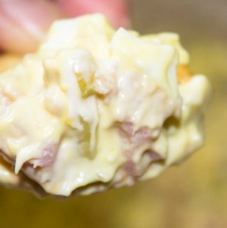Looking for a great tasting way to use leftover ham This ham spread recipe is delicious. Deviled ham spread or ham salad dip is great for potlucks