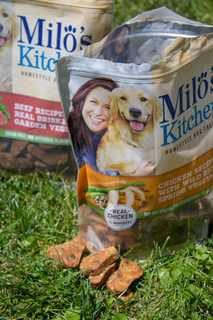 Are Milos Kitchen Dog Treats Safe