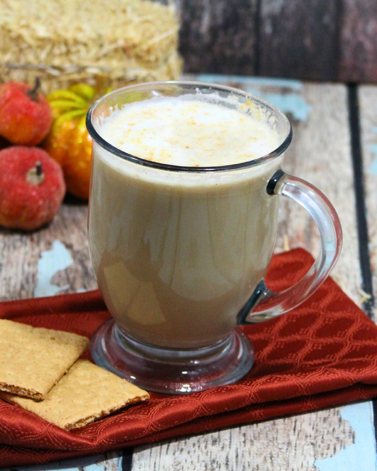 Warm copycat Starbucks Graham Cracker Latte in a white mug topped with whipped foam, graham cracker crumbs, and a cinnamon stick.