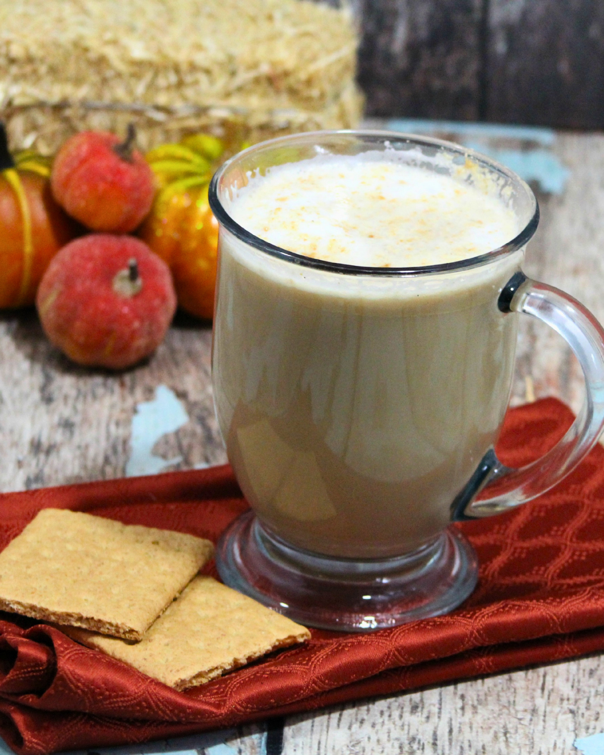 Creamy copycat Starbucks Graham Cracker Latte served in a white mug with frothy milk, graham cracker crumbs, and a cozy fall coffee presentation.