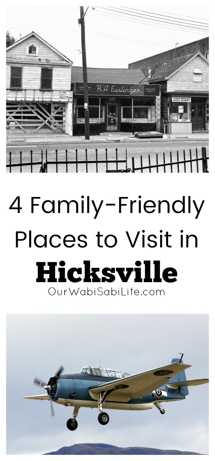 4 Family-Friendly Places to Visit in Hicksville, NY