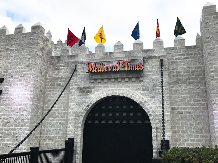 Go away to a faraway land at Medieval Times in Orlando, Florida. This is a wonderful place where myth meets modern day times. The horses and knights in the shows at Medieval Times will blow you away. This is an experience worth having more than once.