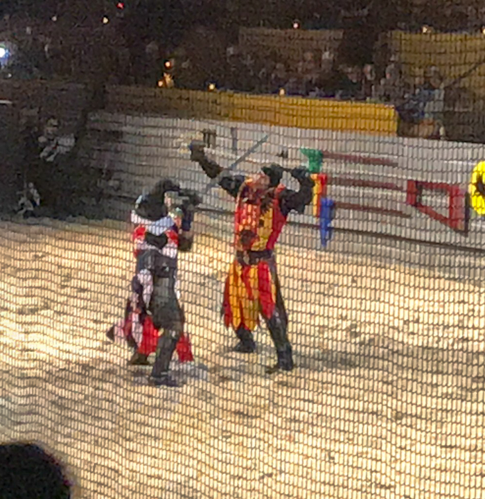 Go away to a faraway land at Medieval Times in Orlando, Florida. This is a wonderful place where myth meets modern day times. The horses and knights in the shows at Medieval Times will blow you away. This is an experience worth having more than once.