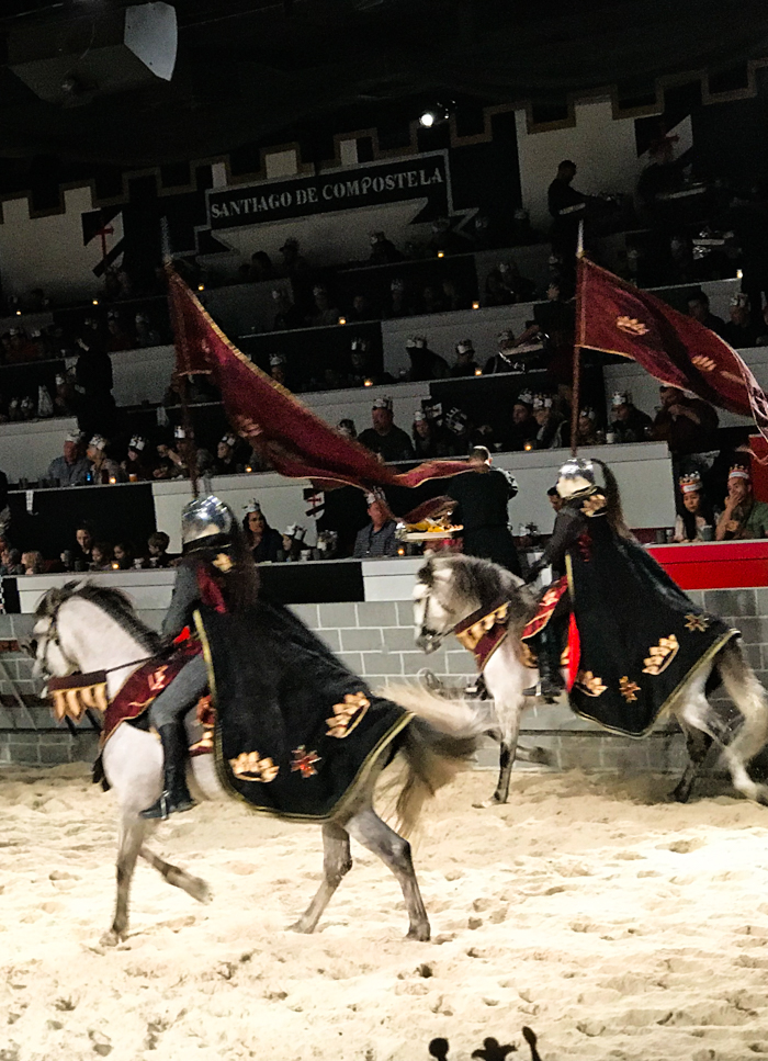 Go away to a faraway land at Medieval Times in Orlando, Florida. This is a wonderful place where myth meets modern day times. The horses and knights in the shows at Medieval Times will blow you away. This is an experience worth having more than once.