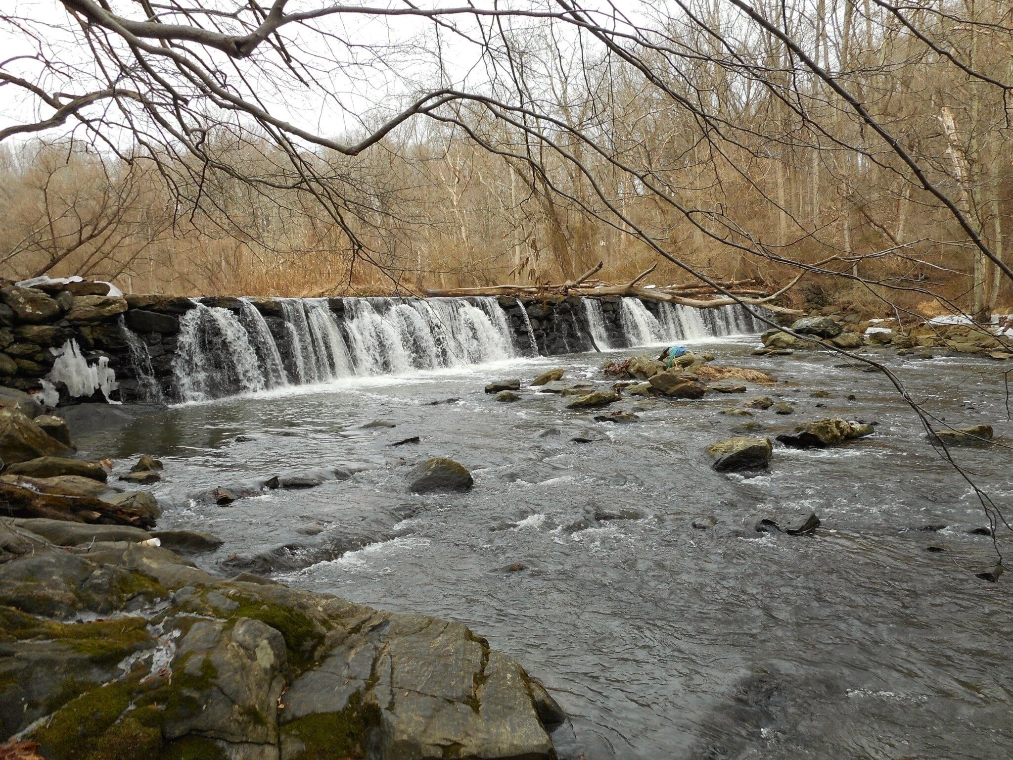 Ridley Creek State park