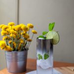 mint mojito recipe