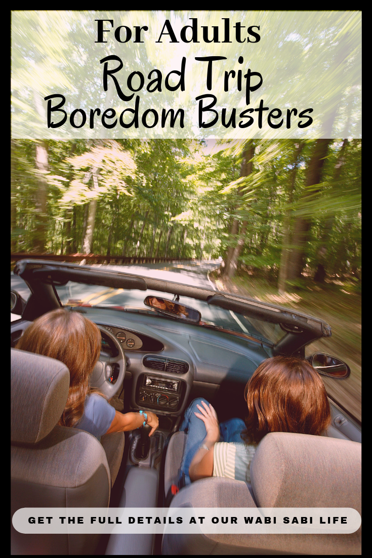 Looking for some fun ways to pass the time on your next road trip? Use these road trip boredom busters for adults on your next trip. 