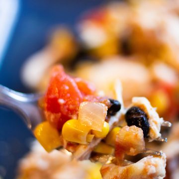 salsa chicken on a fork